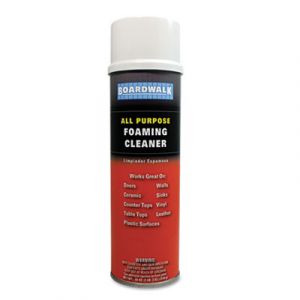 All-Purpose Foaming Cleaner w/Ammonia, 19oz Aerosol